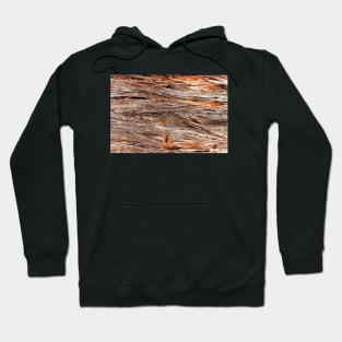 Rustic Orange Stringy Bark Tree Hoodie